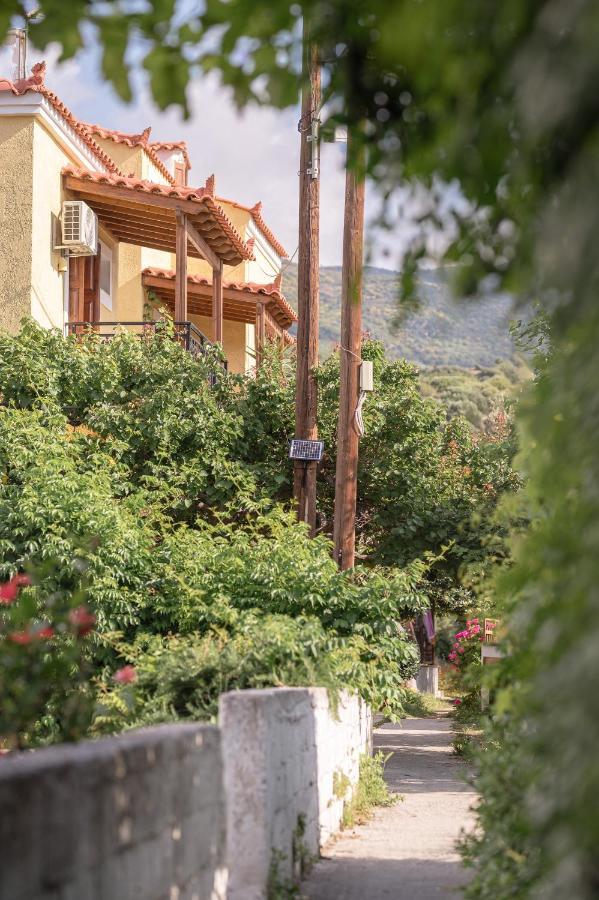 Lemon Tree Samos Гостевой дом Votsalakia (Samos)