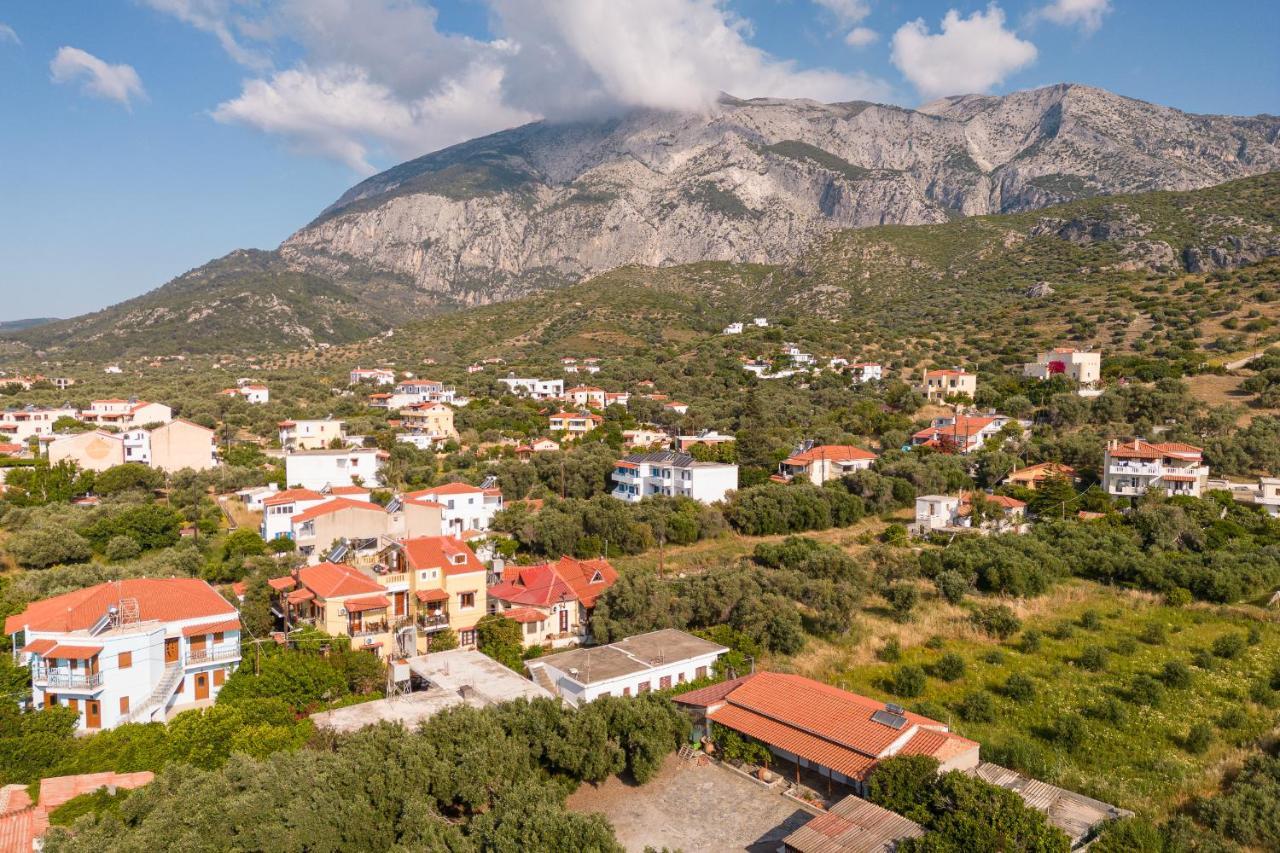 Lemon Tree Samos *